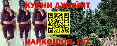 прущие грибы Лесосибирск