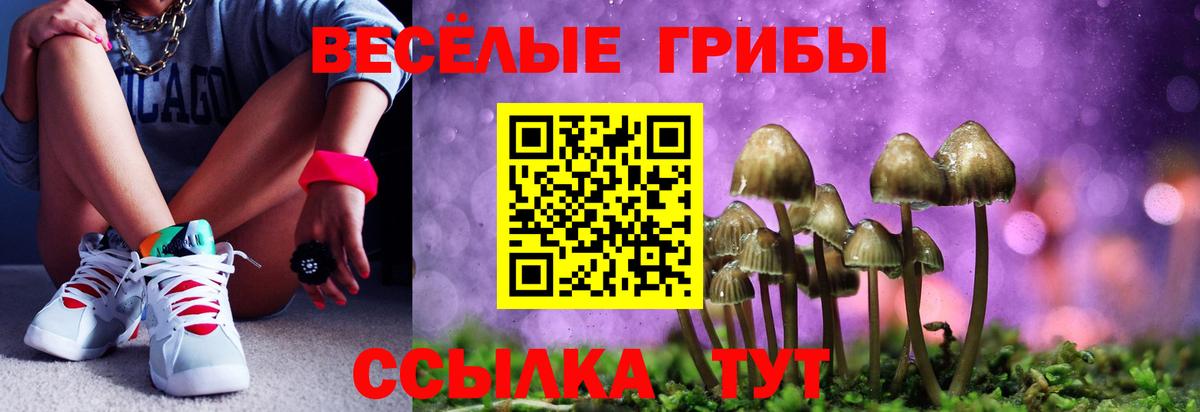 Галлюциногенные грибы мицелий  Псилоцибиновые грибы мицелий  Тимашёвск  Вход с VPN 