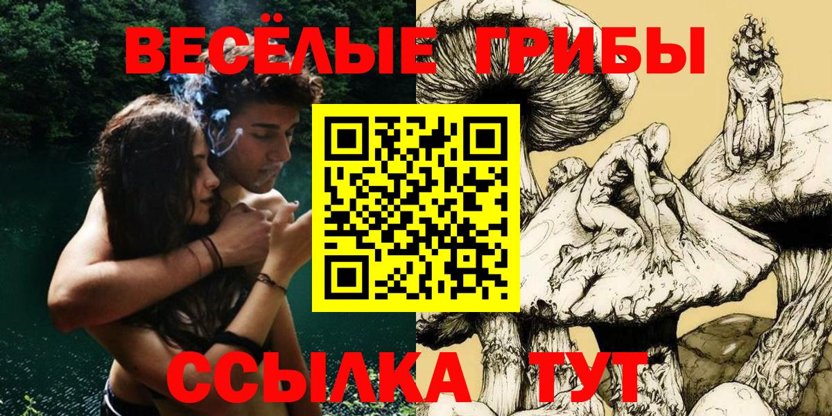 Псилоцибиновые грибы MAGIC MUSHROOMS Тимашёвск